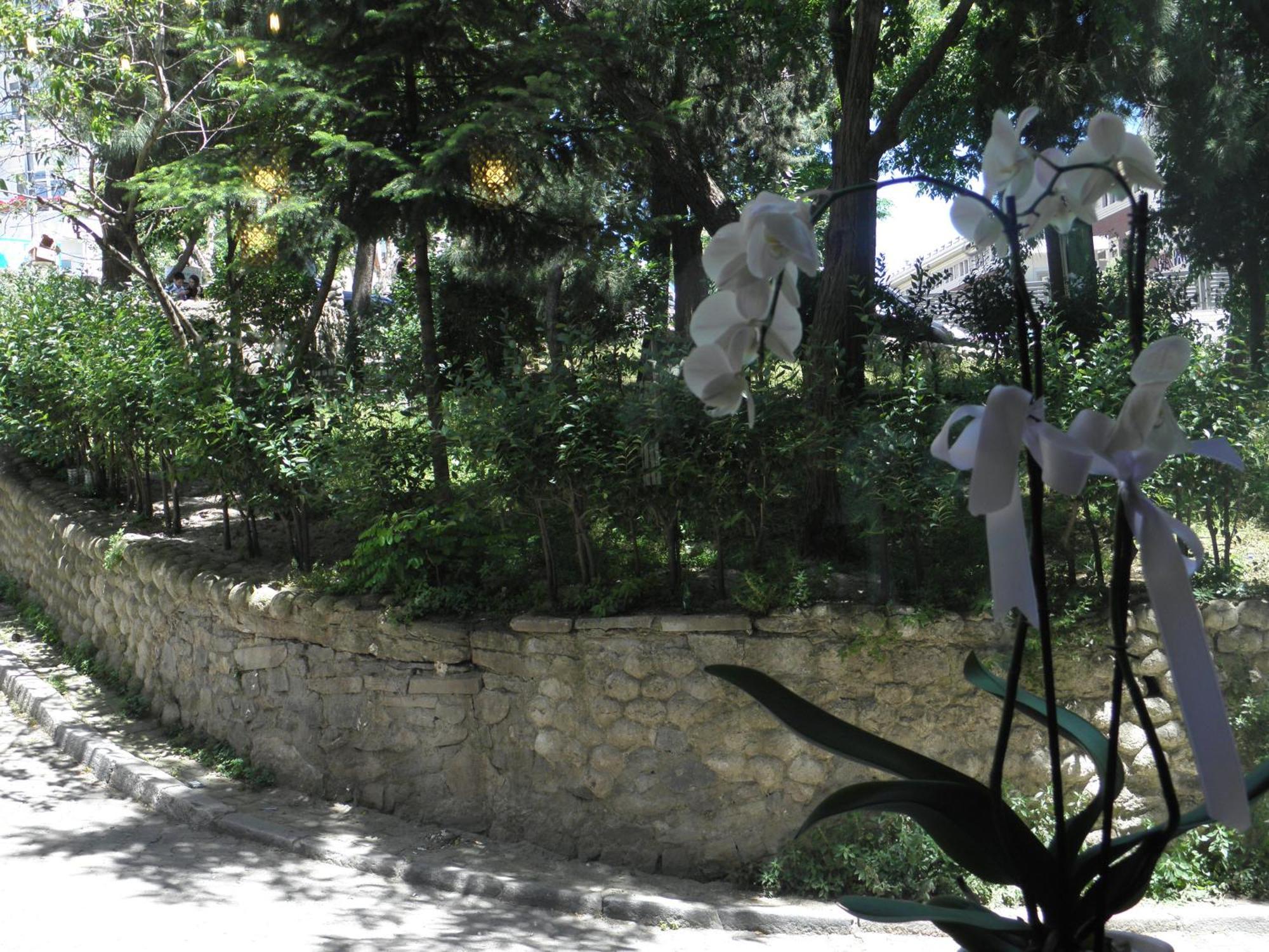 Omar Sultan Park Suites Estambul Exterior foto